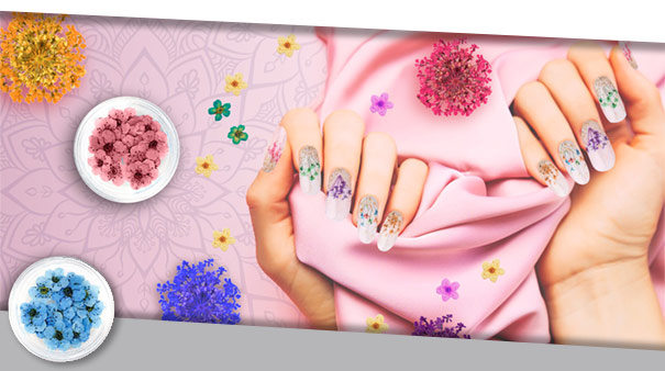 Сухоцветы Северина