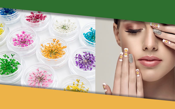 Сухоцветы Северина