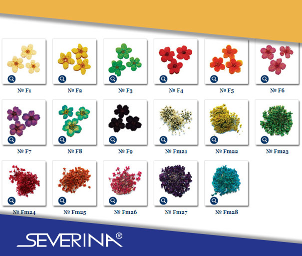 Палитра на Сухоцветы Северина